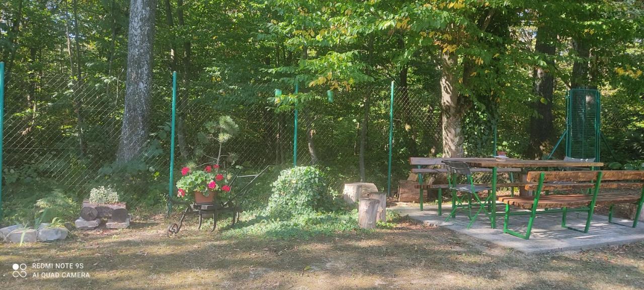 Holiday Home Nina Petrinja Extérieur photo